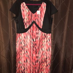 Ashley Stewart Contoured Dress